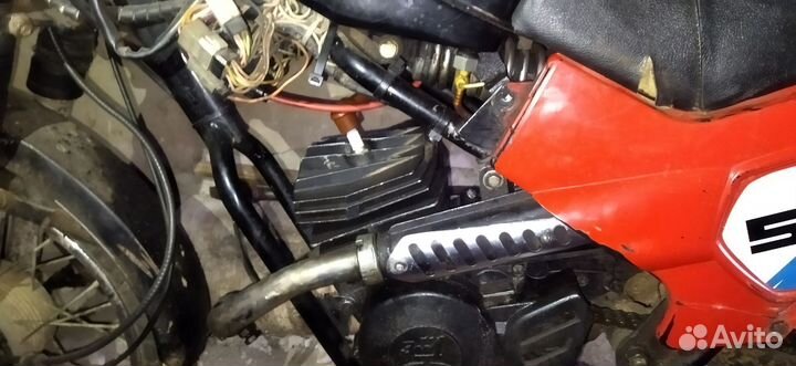 Зид пилот 50