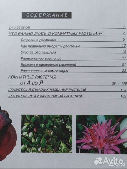 Комнатные растения книга