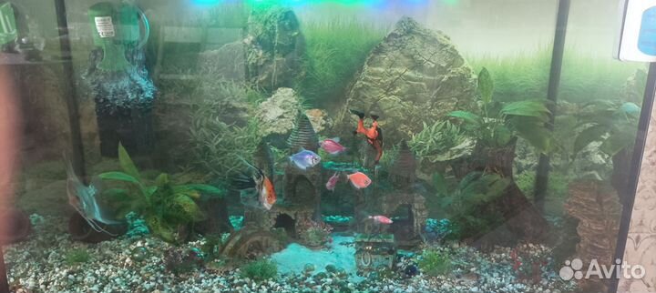 Аквариум с тумбой бу