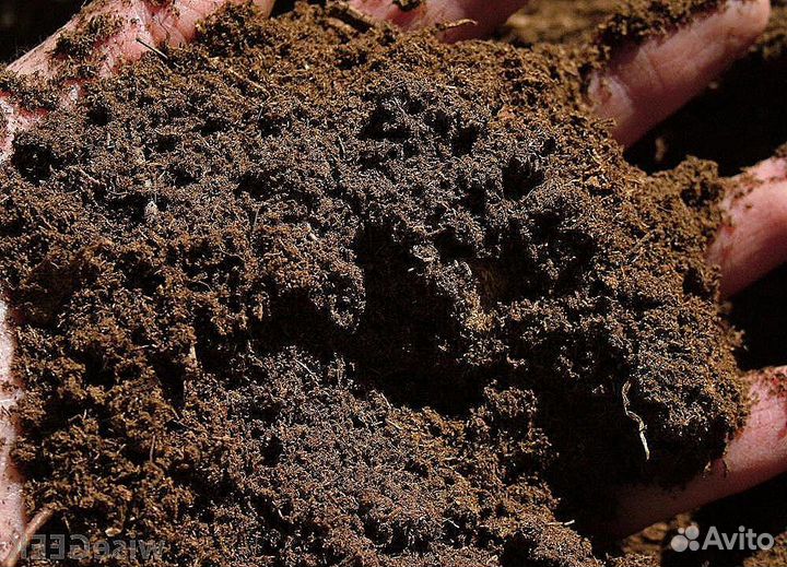 Торф низинный