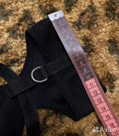 Шлейки для животных