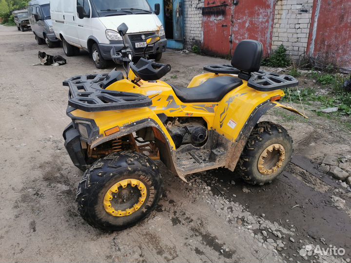 Motoland 200 wild track X