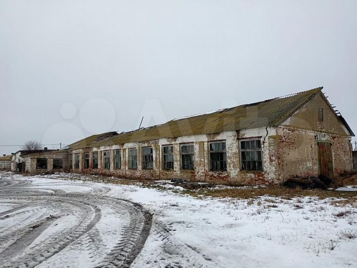 Здание, 3000 м²