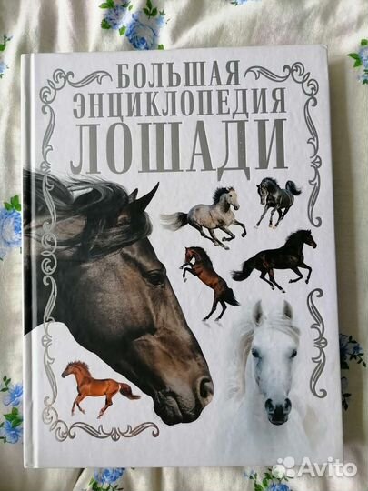 Энциклопедия про лошадей