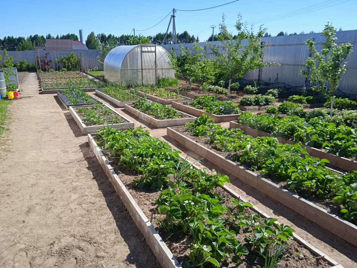 Дом 200 м² на участке 12 сот.