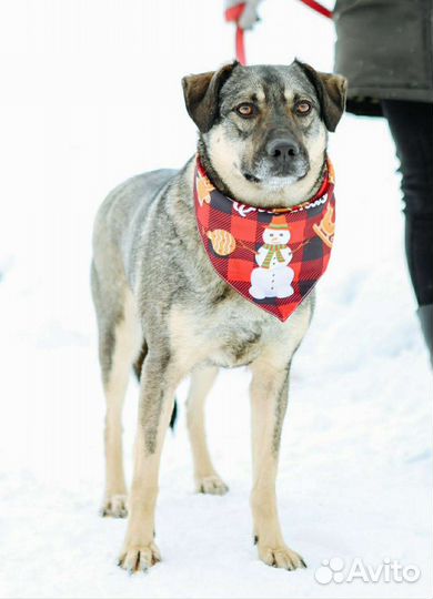 Ярик из приюта надеется на чудо