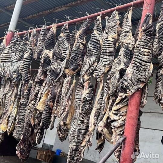 Сушеное мясо дагестана