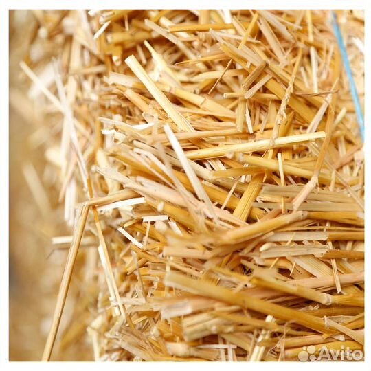 Солома в мешках