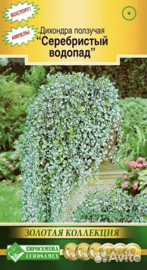 Дихондра серебристый водопад