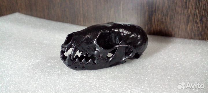 Интерьерный череп черный