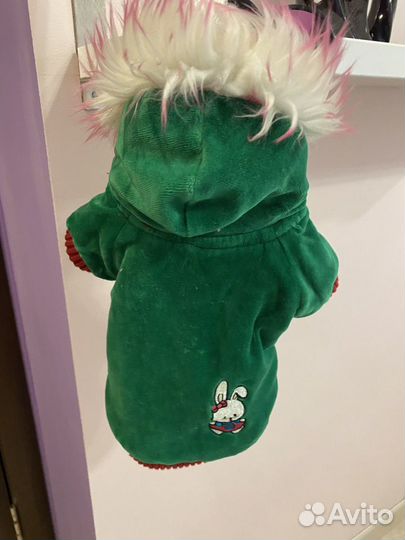 Зимний комбинезон для собак мини-пород