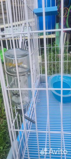 Клетка для шиншиллы бу