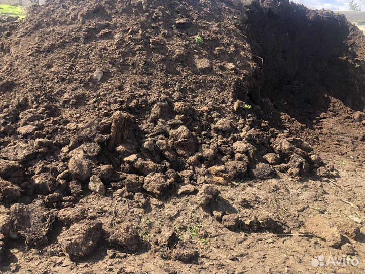 Перегной коровий. Удобрение