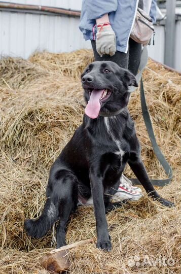 Две черные девочки