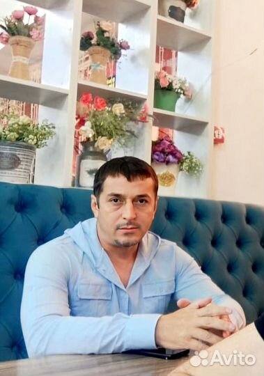 Куратор. Помощник руководителя