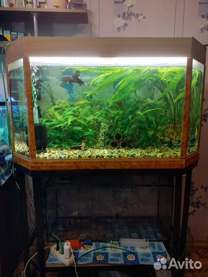 Аквариум с подставкой