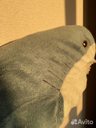 Акула из икеи