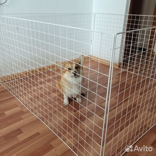 Вольер для собак и щенков