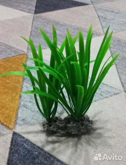 Искуственные растения Камни Ракушки