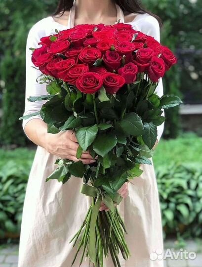 Розы Букеты Цветы Розы 31 101 151 201 Доставка