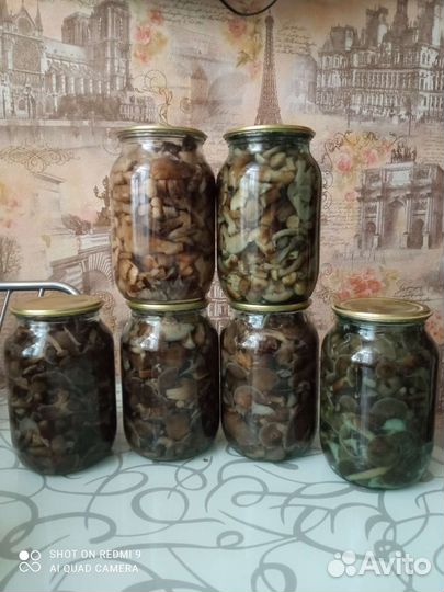 Грибы опята, салаты, варенье, сок