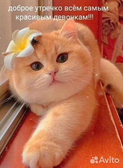 Уборка квартир