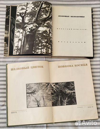 Фотоальбомы винтаж