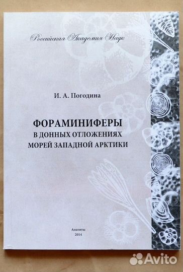Погодина. Фораминиферы в донных отложениях морей