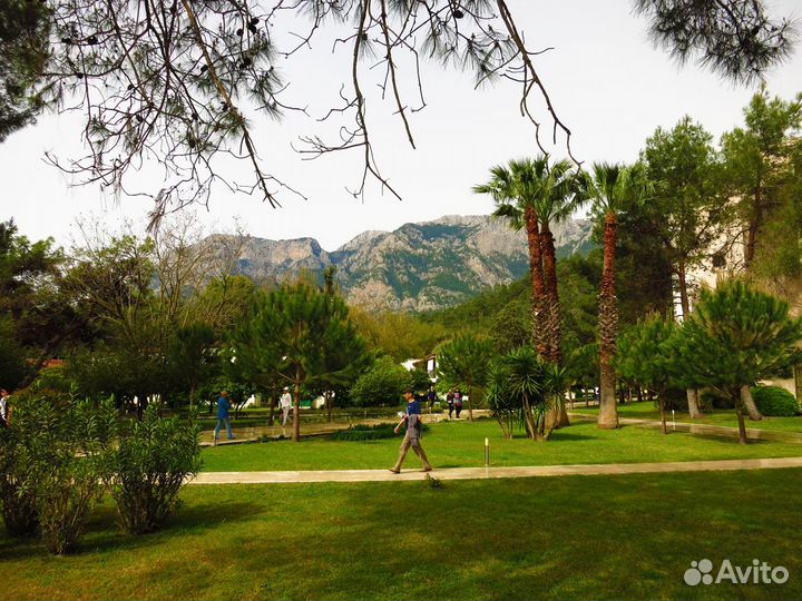 Фотоаппарат Olympus SZ-17 и Ещё Кое-Что Готовься