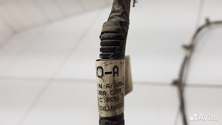 Электропроводка заднего бампера (Kia Mohave)