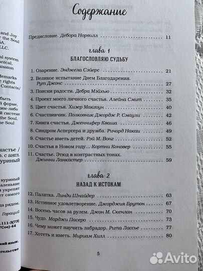 Куриный бульон для души