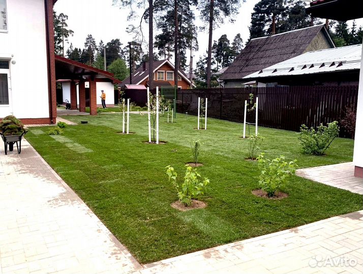 Рулонный газон