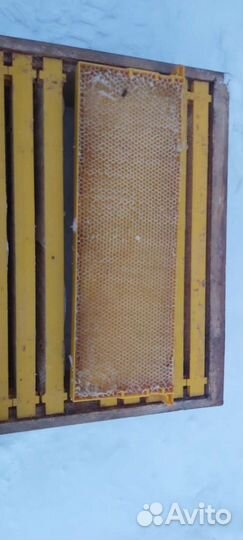 Рамки для пчел