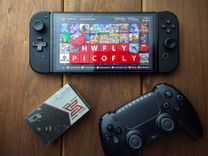 Hwfly/picofly Nintendo switch
