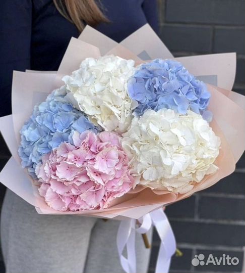 Гортензии букеты