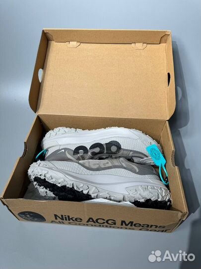 Nike ACG Mountain Fly Low 2