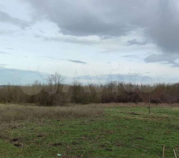 Участок 1,6 га (СНТ, ДНП)