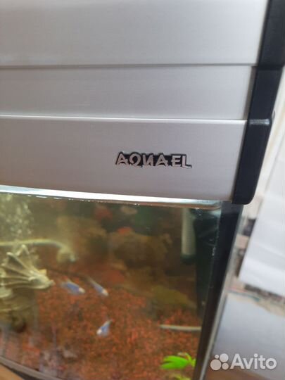 Аквариум с тумбой Aquael 170 литров