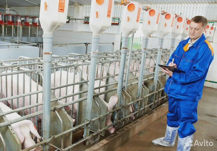 Помощники мастера на Агрокомплекс М/Ж