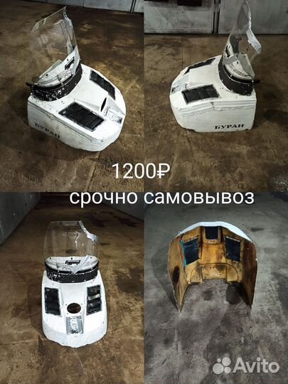 Рысь тайга буран