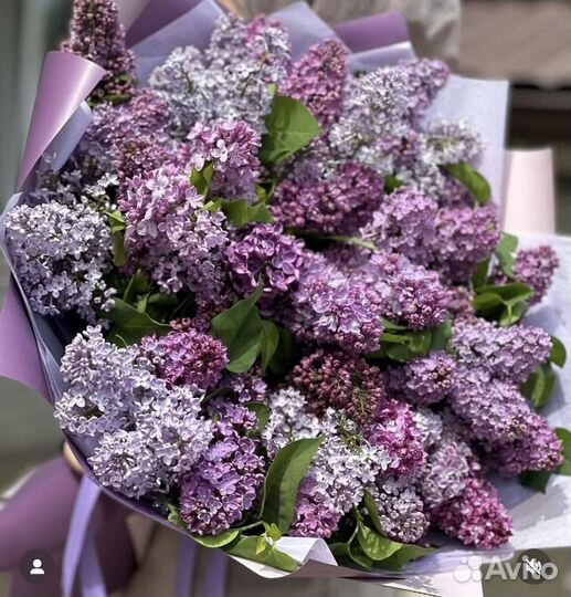 Букет из сирени