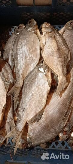 Вяленая рыба