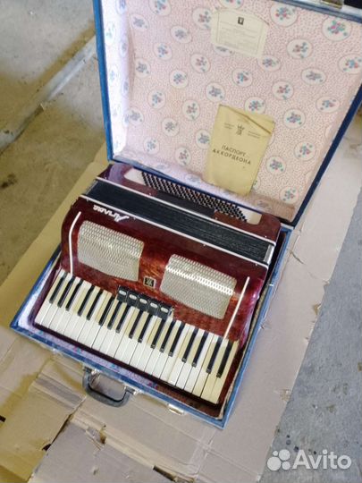 Аккордеон