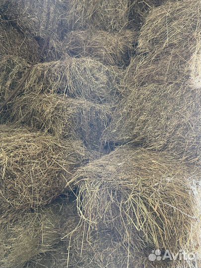 Сено в кипах. В наличии и на заказ