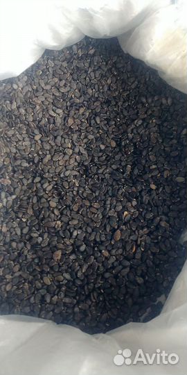 Семена арбуза