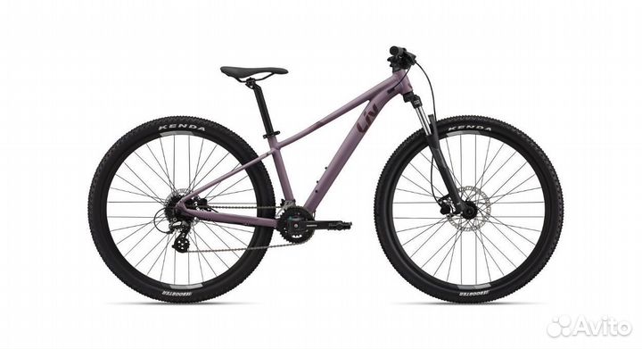 Горный LIV Tempt 3 2023