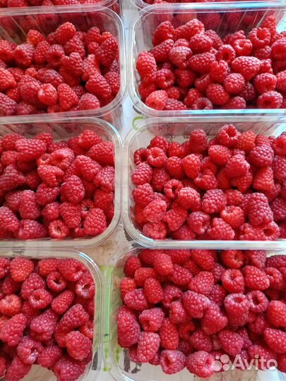 Фермерские продукты