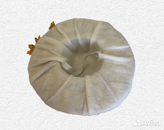 Шляпа гриба. Боровик