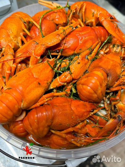 Раки живые и вареные