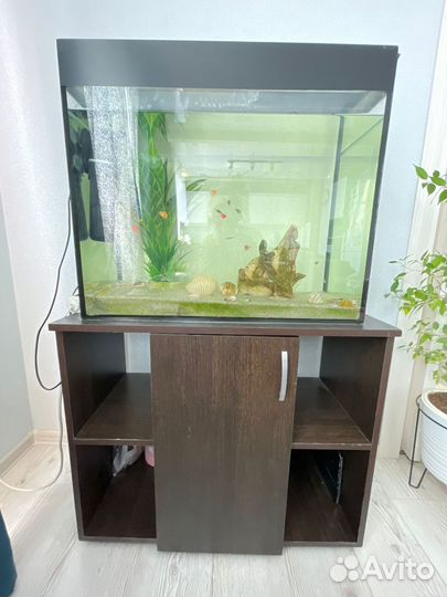Аквариум 100 л с рыбками и с тумбой